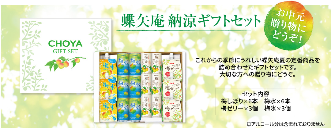 蝶矢庵納涼ギフトセット内容
