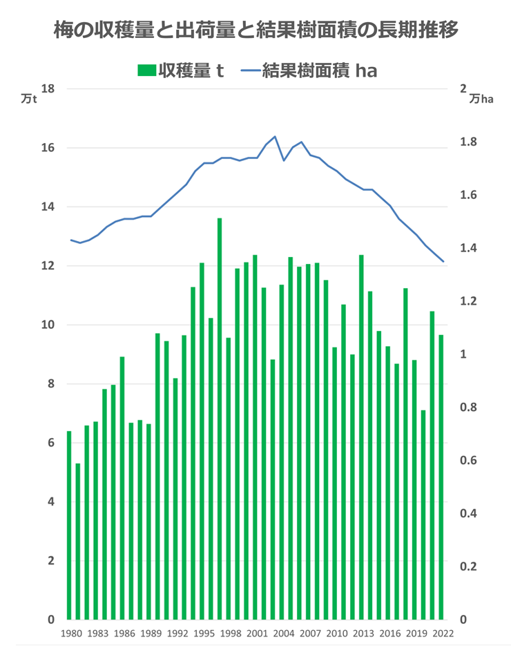 梅の収穫量と出荷量と結果樹面積の長期推移