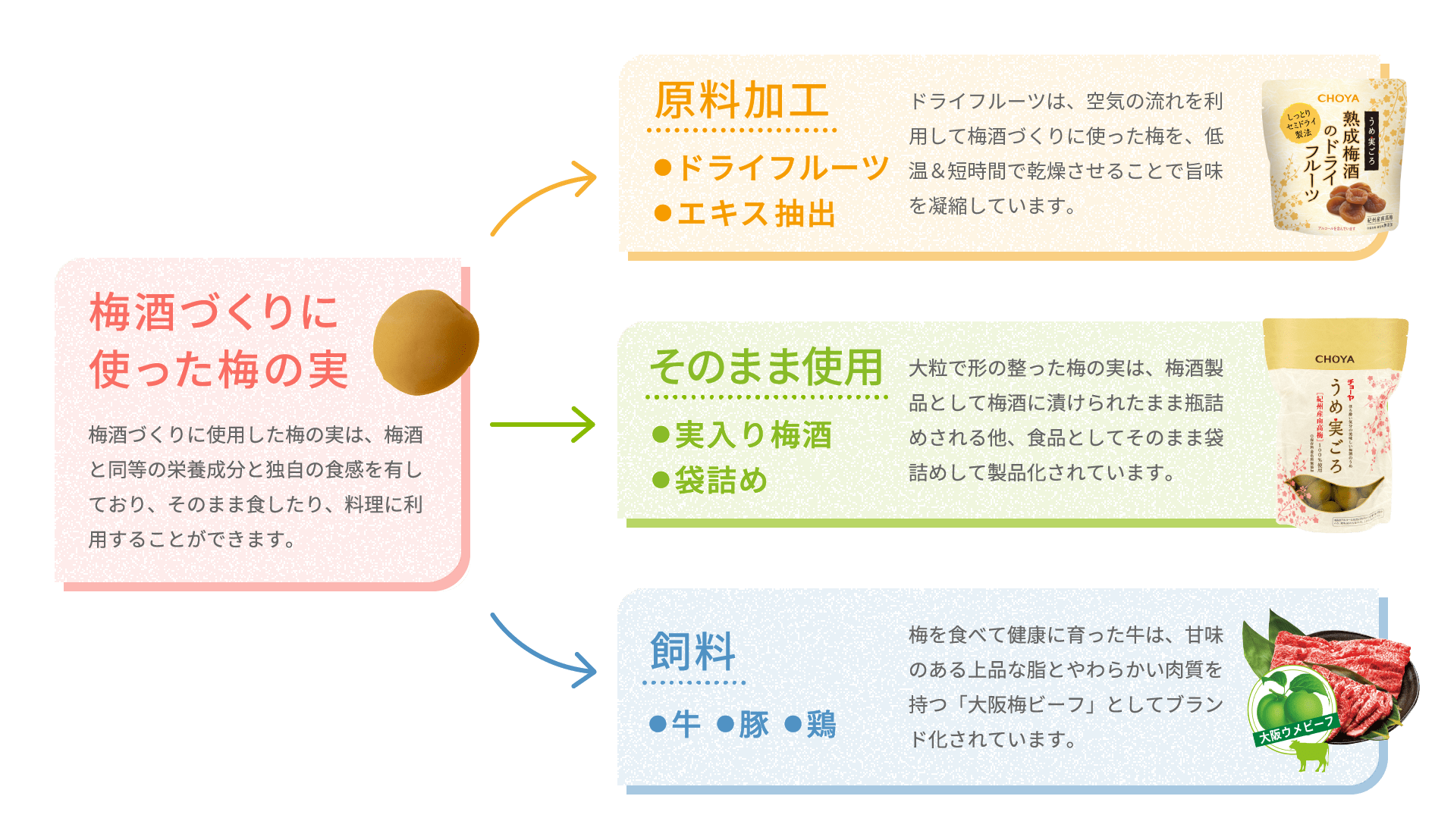 梅酒づくりに使った梅の実 原料加工 そのまま使用 飼料