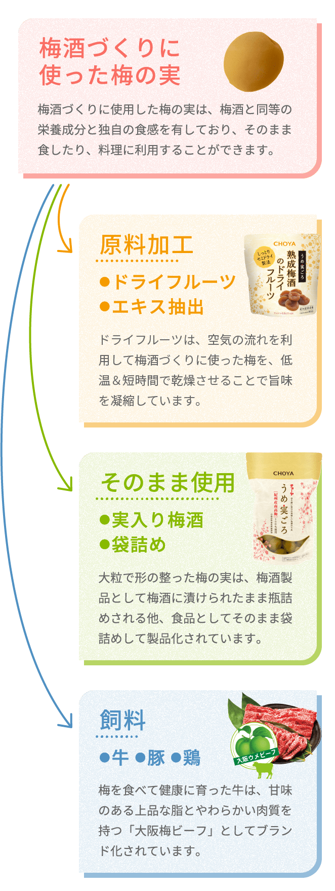 梅酒づくりに使った梅の実 原料加工 そのまま使用 飼料